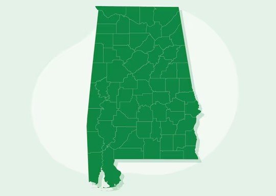 Abbeville ISF Filing